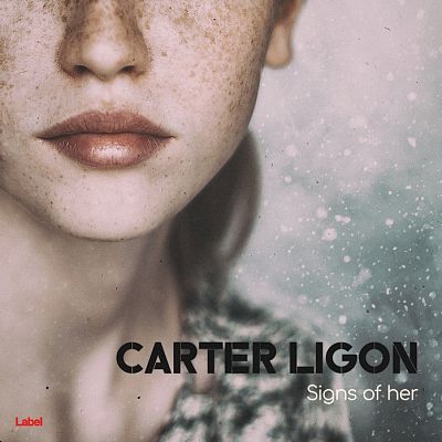 Pre Made Album Cover Mountain Mist