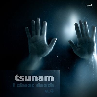 Pre Made Album Cover Firefly