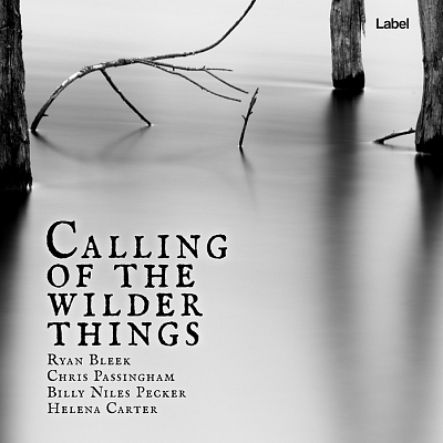 Pre Made Album Cover Silver