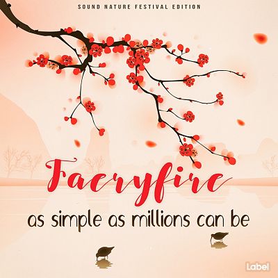 Pre Made Album Cover Champagne