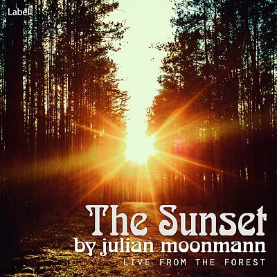 Pre Made Album Cover Calico