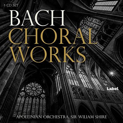 Pre Made Album Cover Cod Gray