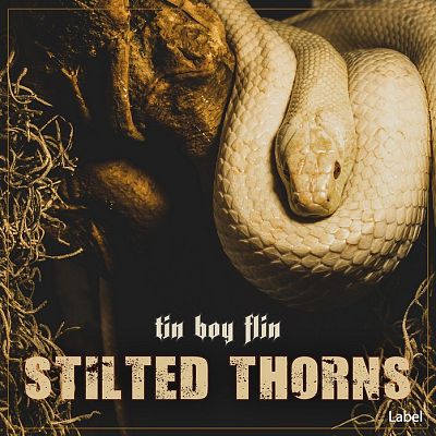 Pre Made Album Cover Tan