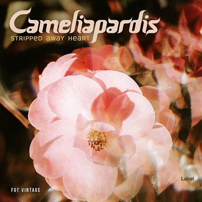 Pre Made Album Cover Karaka