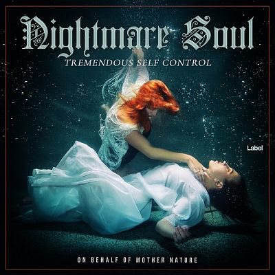 Pre Made Album Cover Firefly