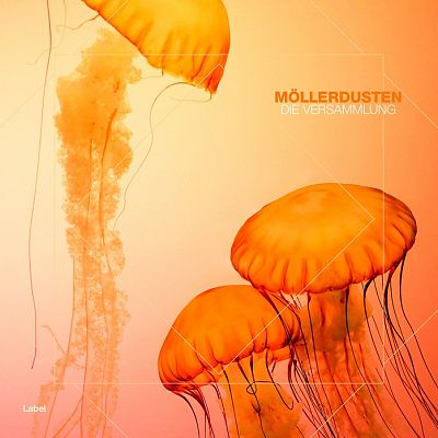 Pre Made Album Cover Macaroni and Cheese