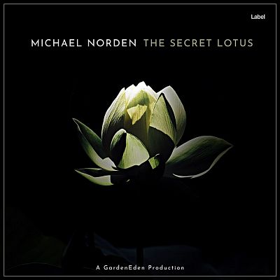 Pre Made Album Cover Black