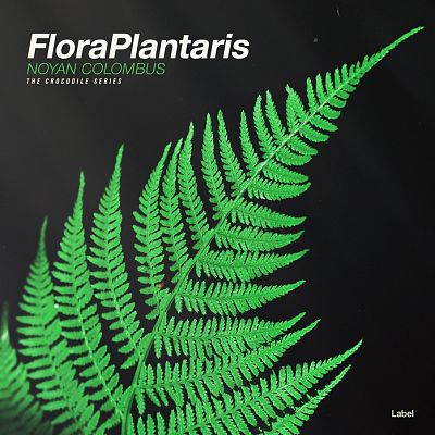 Pre Made Album Cover Heavy Metal