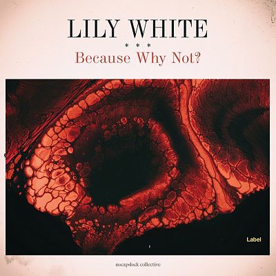 Pre Made Album Cover Linen