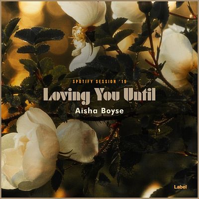 Pre Made Album Cover Gimblet