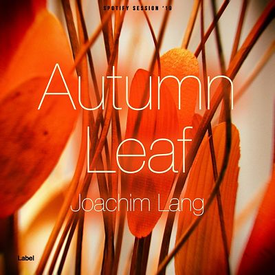 Pre Made Album Cover Tia Maria