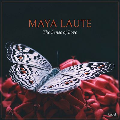 Pre Made Album Cover Shark