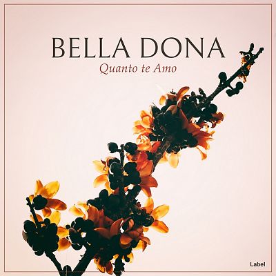 Pre Made Album Cover Albescent White