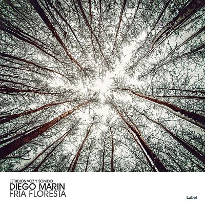 Pre Made Album Cover Quill Gray