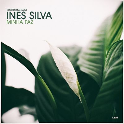 Pre Made Album Cover Ebb