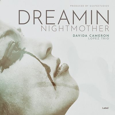 Pre Made Album Cover Tasman