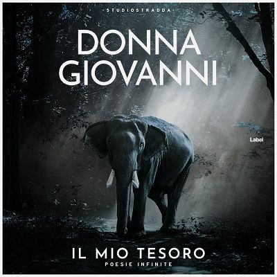 Pre Made Album Cover Woodsmoke