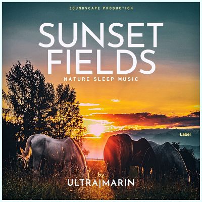 Pre Made Album Cover Outer Space