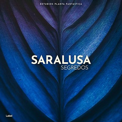 Pre Made Album Cover Blue Zodiac