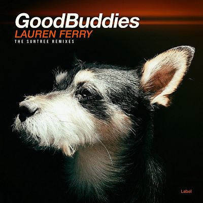 Pre Made Album Cover Soft Amber