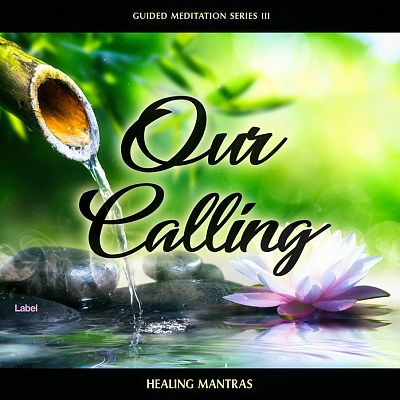 Pre Made Album Cover Caper