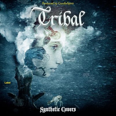 Pre Made Album Cover Big Stone