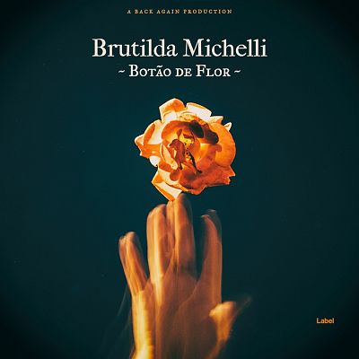 Pre Made Album Cover Firefly