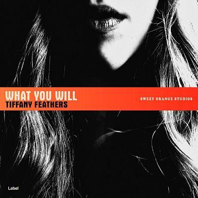 Pre Made Album Cover Cod Gray