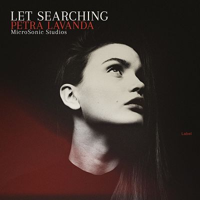 Pre Made Album Cover Cocoa Brown