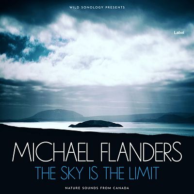 Pre Made Album Cover Firefly