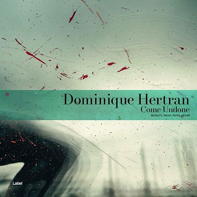 Pre Made Album Cover Envy