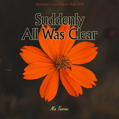 Pre Made Album Cover Christine