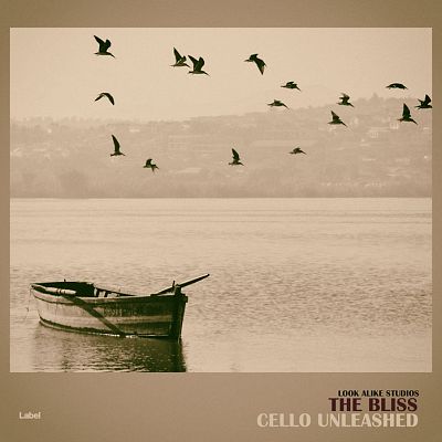 Pre Made Album Cover Indian Khaki