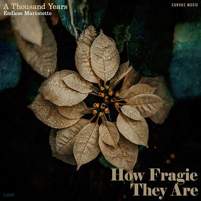 Pre Made Album Cover Sandal