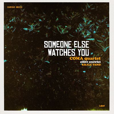 Pre Made Album Cover Mikado