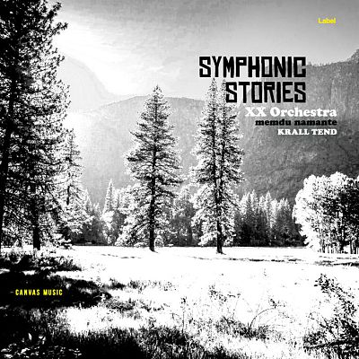 Pre Made Album Cover Silver