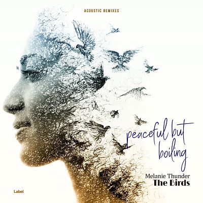 Pre Made Album Cover Armadillo