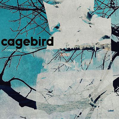 Pre Made Album Cover Powder Ash