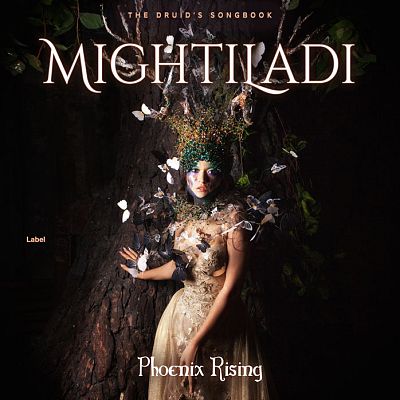 Pre Made Album Cover Gondola