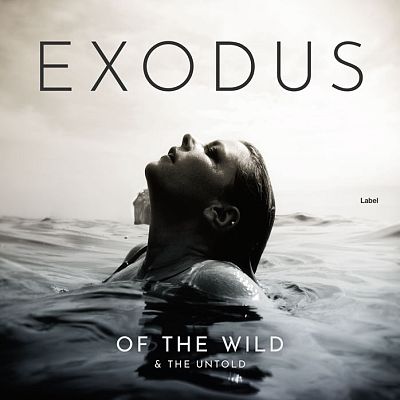 Pre Made Album Cover Shark