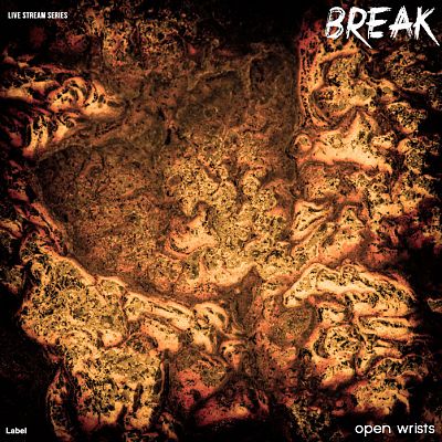 Pre Made Album Cover Cedar