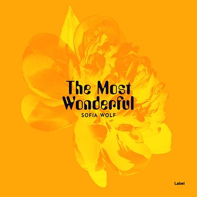 Pre Made Album Cover Sun