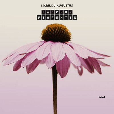 Pre Made Album Cover Swiss Coffee