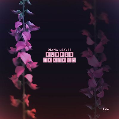 Pre Made Album Cover Bleached Cedar