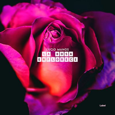 Pre Made Album Cover Cerise