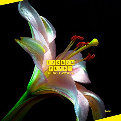 Pre Made Album Cover Mongoose