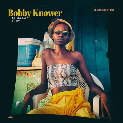 Pre Made Album Cover Firefly