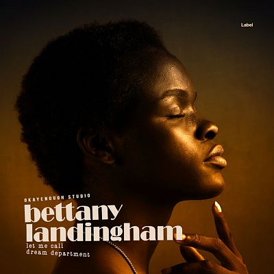 Pre Made Album Cover Crowshead