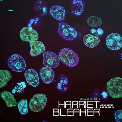 Pre Made Album Cover Bastille