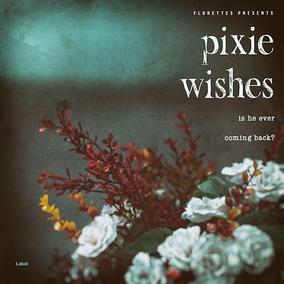 Pre Made Album Cover Armadillo